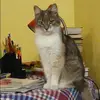 Отзыв от Оксана Кошелева